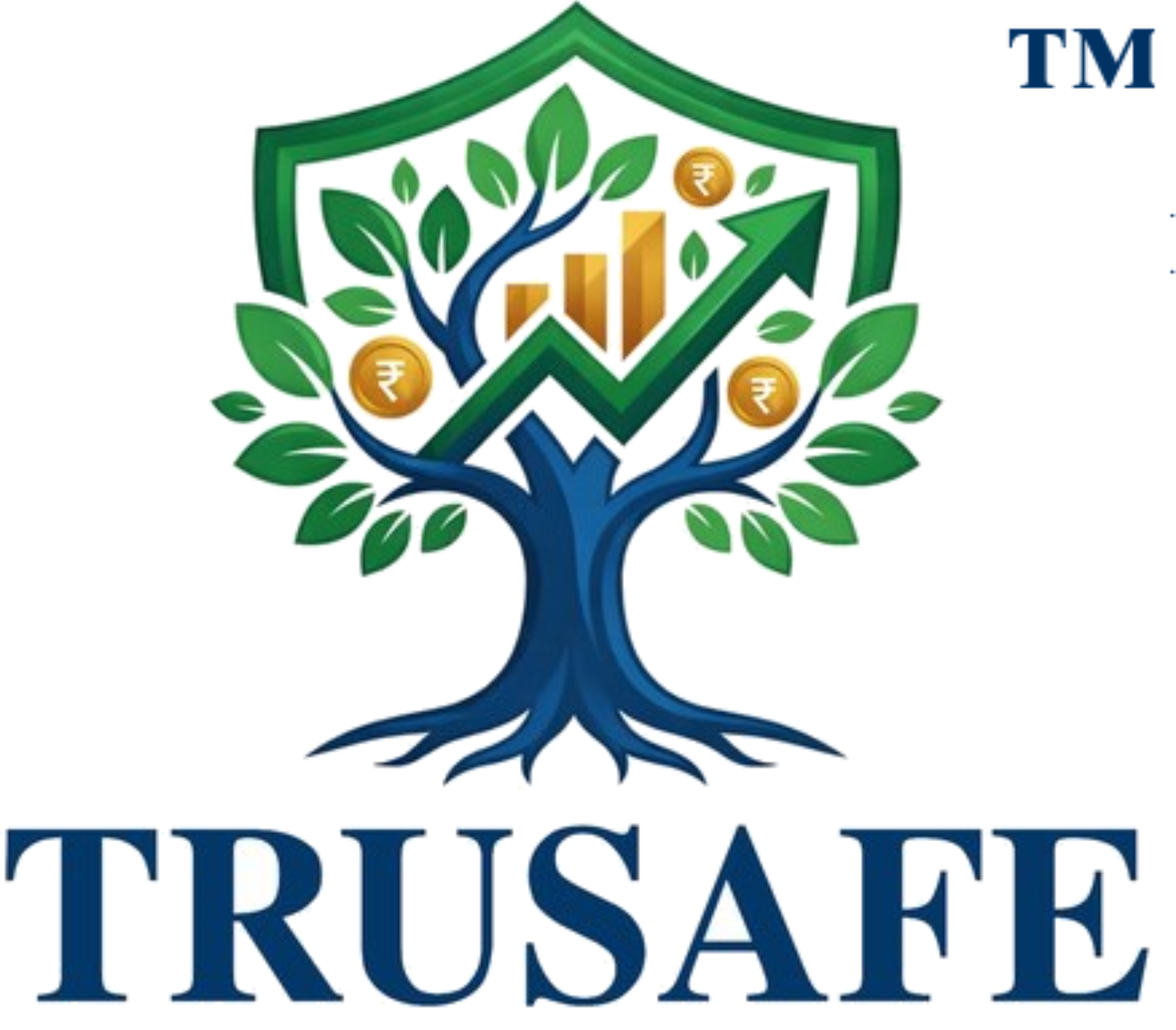 Trusafe Capital Services Private Limited logo